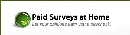 Paid Surveys At Home Review